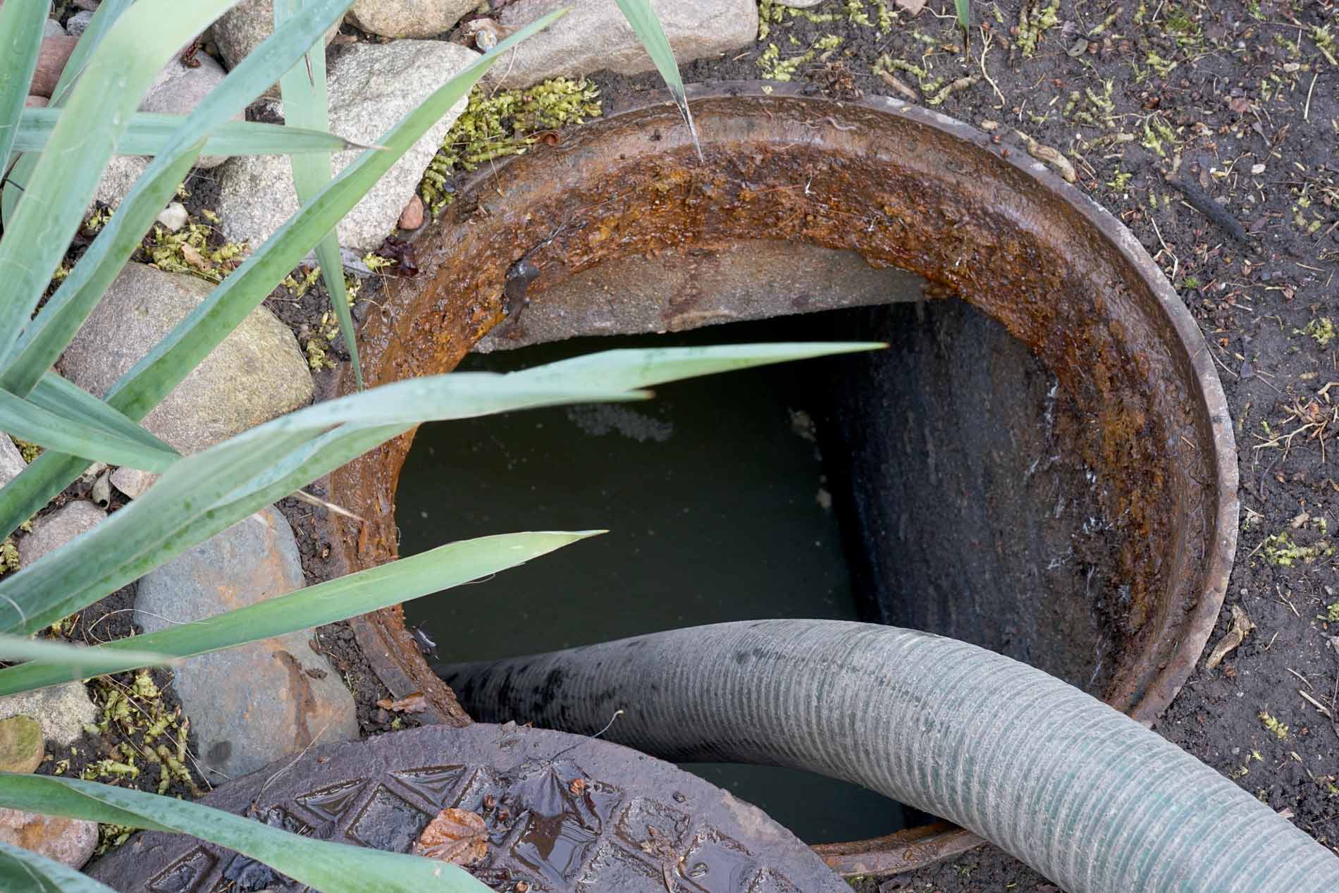 Warranty Septic